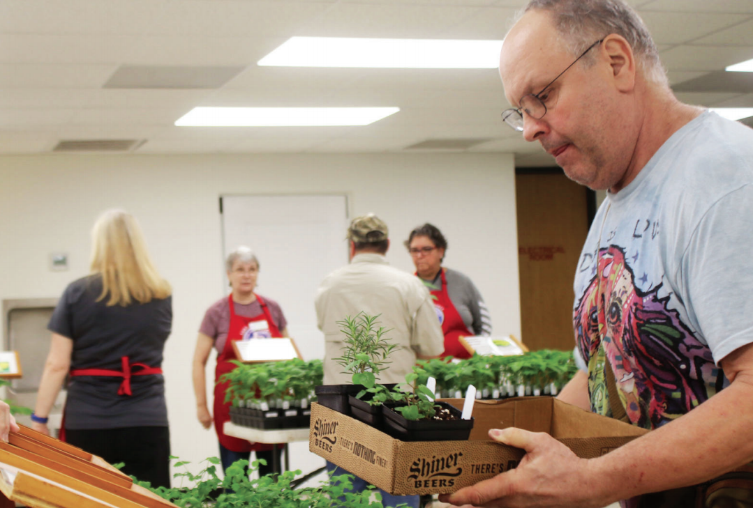 Master Gardner’s plan Fall Vegetable-Herb Plant Sale